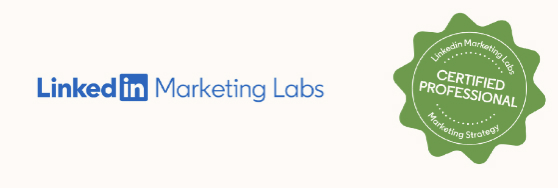 linkedin marketing labs